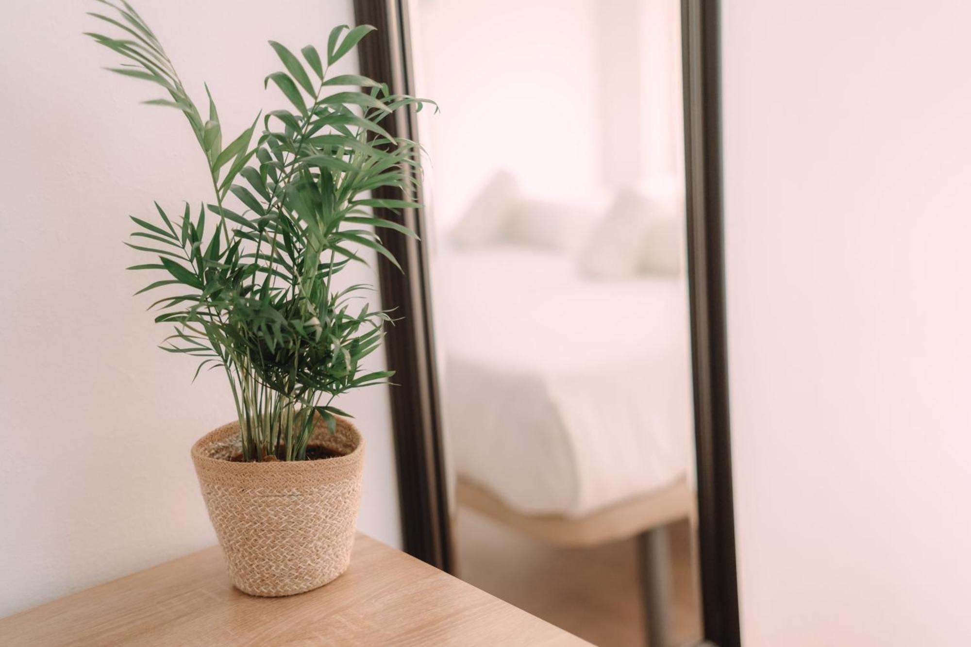 Concept Rooms バレンシア エクステリア 写真